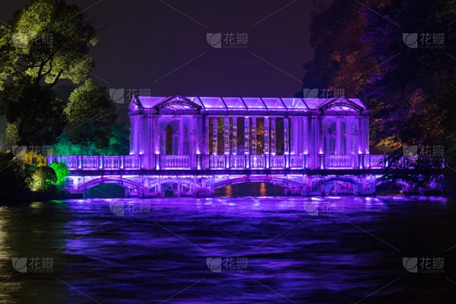 纹理内的花瓣采集图片-花瓣素材-风格图片