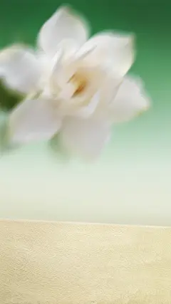 常规背景系列写实感虚化栀子花+展台背景