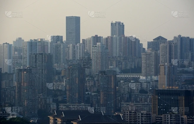 纹理内的花瓣采集图片-花瓣素材-风格图片