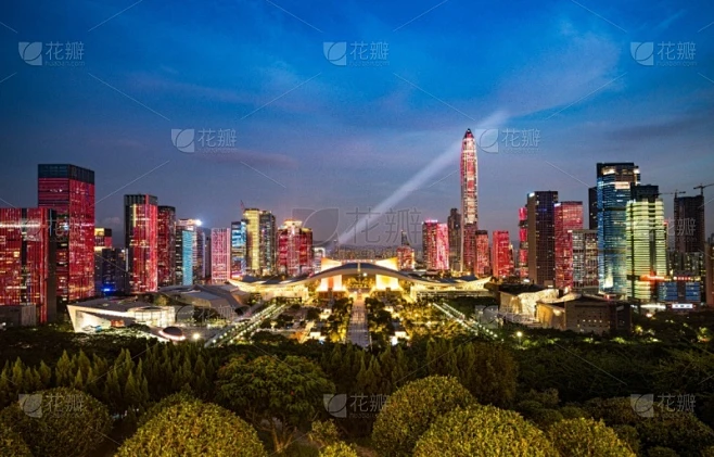 纹理内的花瓣采集图片-花瓣素材-风格图片