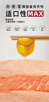 宠物主图详情海报