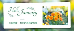 1月你好清新文艺简约公众号首图