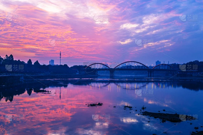 纹理内的花瓣采集图片-花瓣素材-风格图片