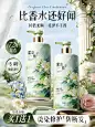 750主图-美妆-洗护预览 2