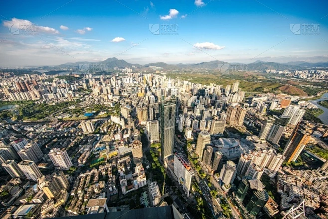 纹理内的花瓣采集图片-花瓣素材-风格图片