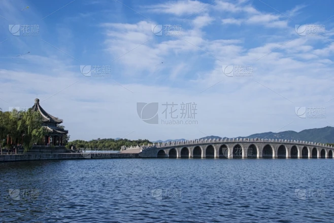 纹理内的花瓣采集图片-花瓣素材-风格图片