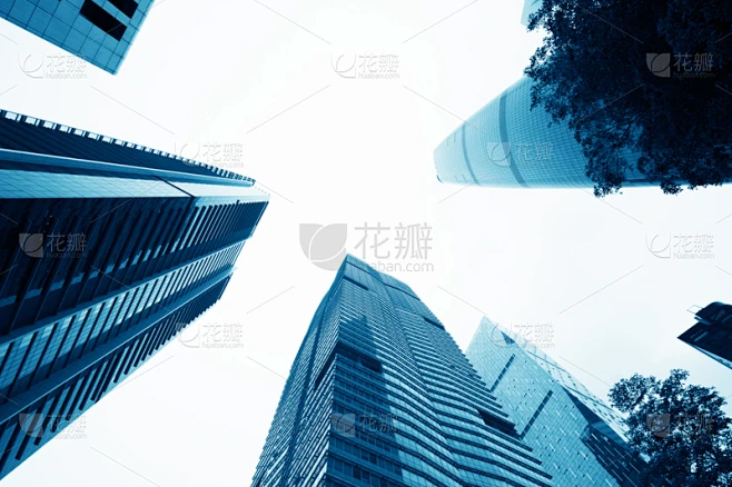 纹理内的花瓣采集图片-花瓣素材-风格图片