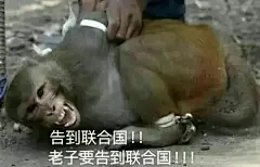 吗喽表情包这样不就连起来了嘛！ - 小红书