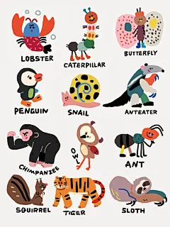 100只动物合集来啦