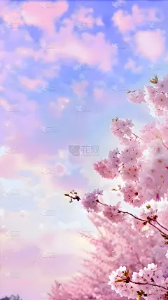 植物系列唯美感樱花枝头蓝天背景