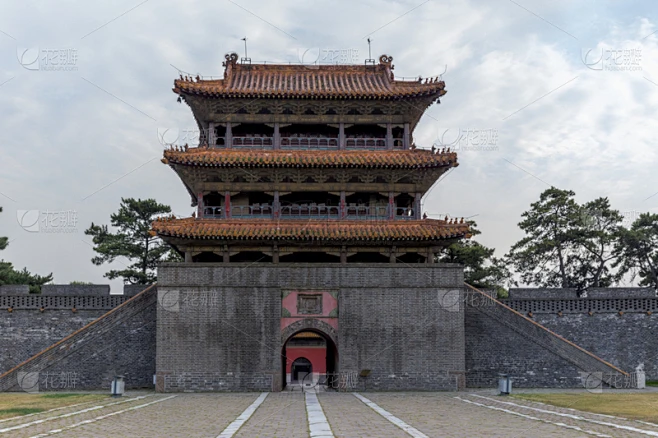 纹理内的花瓣采集图片-花瓣素材-风格图片