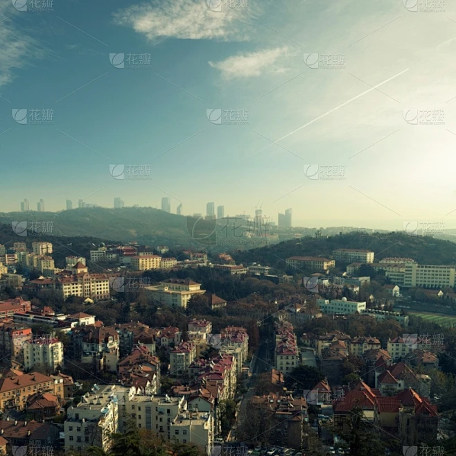 纹理内的花瓣采集图片-花瓣素材-风格图片