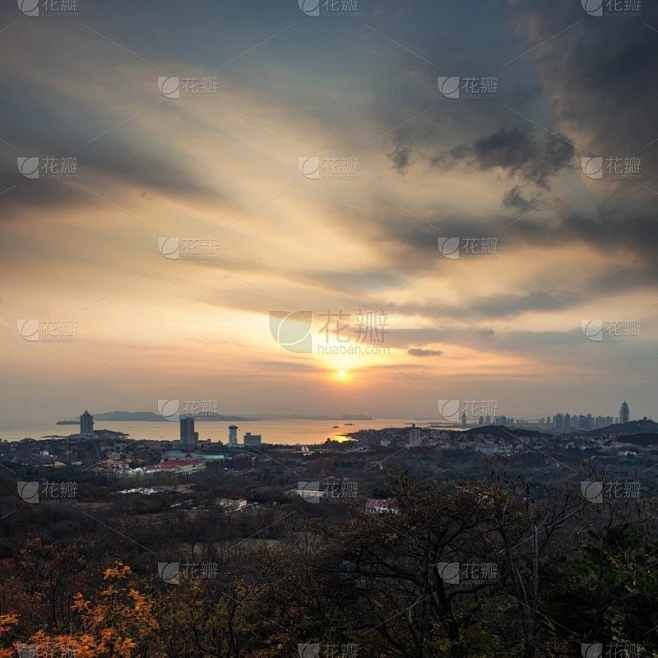 纹理内的花瓣采集图片-花瓣素材-风格图片