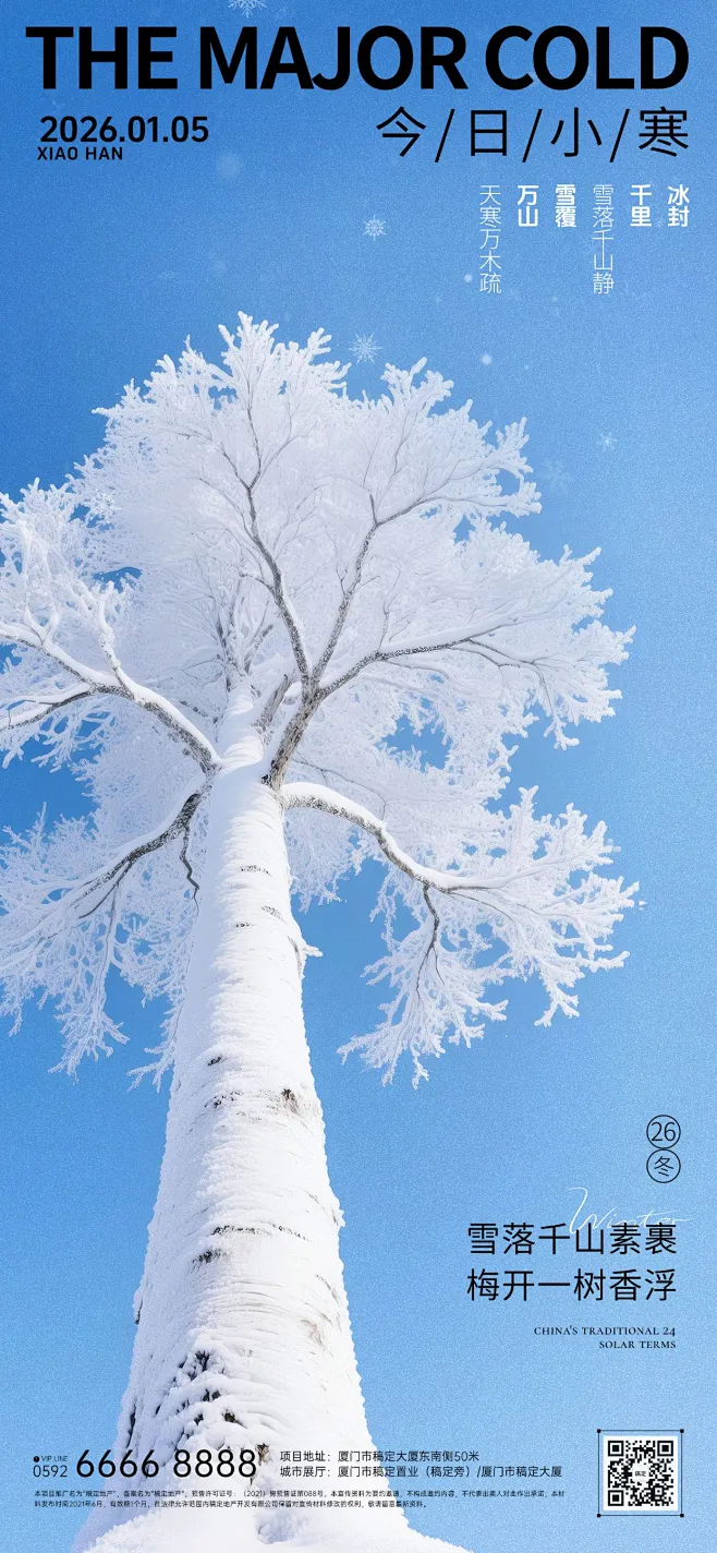 小寒节气祝福实景感雪松通用全屏竖版海报