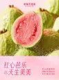 海报-简约预览 3