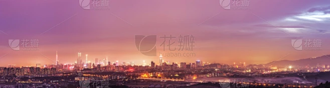 纹理内的花瓣采集图片-花瓣素材-风格图片