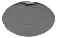 F-复古装饰-贴纸怪诞