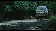 聪明镇预览 1