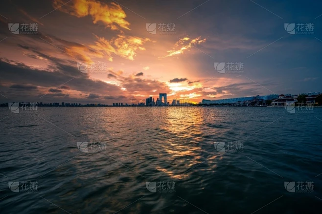 纹理内的花瓣采集图片-花瓣素材-风格图片