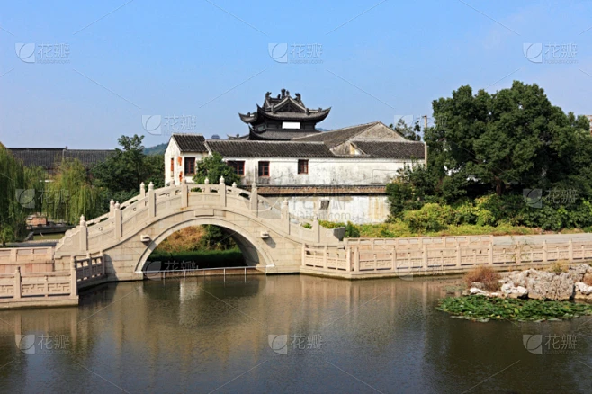 纹理内的花瓣采集图片-花瓣素材-风格图片