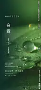 白露节气宣传
