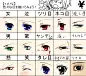 眼珠特写预览 3