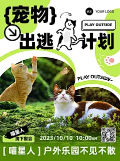 宠物活动宣传小红书封面