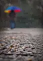 风景预览 3