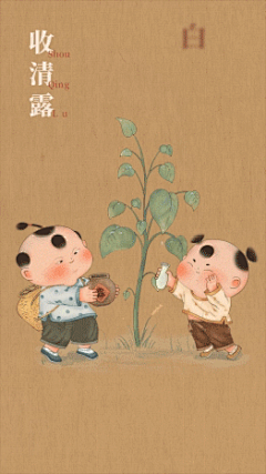 白露节气祝福视频