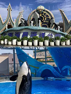 海昌海洋公园的搜索结果_百度图片搜索