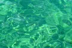 池水呈绿松石色