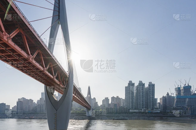 纹理内的花瓣采集图片-花瓣素材-风格图片