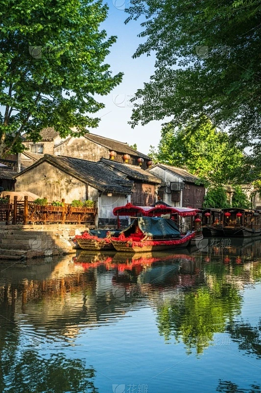 纹理内的花瓣采集图片-花瓣素材-风格图片