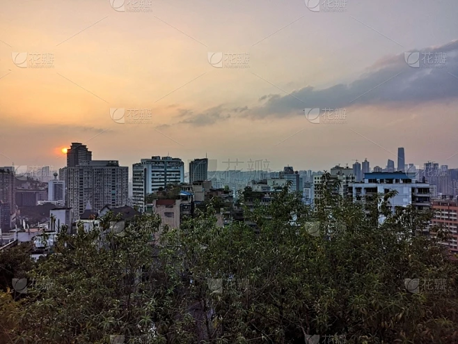 纹理内的花瓣采集图片-花瓣素材-风格图片