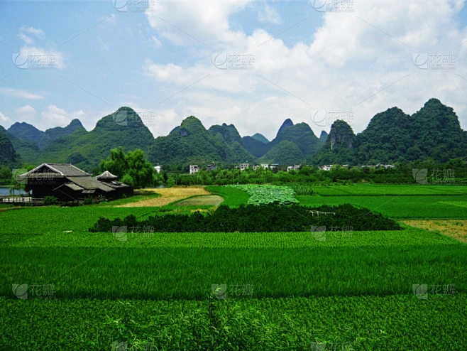 纹理内的花瓣采集图片-花瓣素材-风格图片