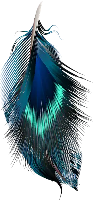 海报(1)预览 1
