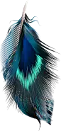 海报(1)预览 2