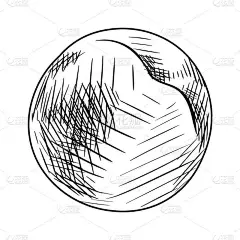 在白色背景上提取整颗桃