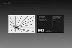 brand identity branding  graphic design  Web Design  Website