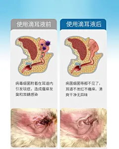 宠物滴耳液猫咪洗耳液狗狗洁耳杀菌去耳螨除臭止痒消炎猫耳朵清洁-tmall.com天猫