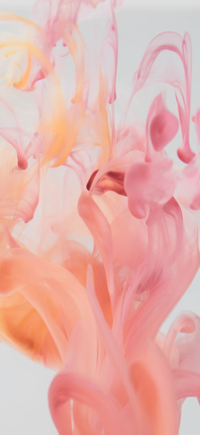 壁纸-小清新内的花瓣采集图片-Ｏn!y！