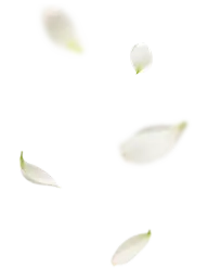 业绩达成海报、长图