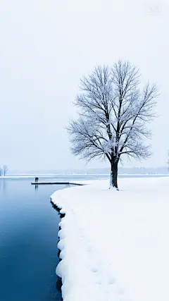 大寒小寒实景感禅意雪地树木背景图片