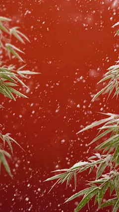 大寒小寒肌理感落雪竹叶背景图片