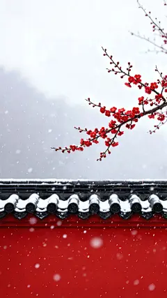 大寒小寒实景感飘雪屋檐梅花背景图片