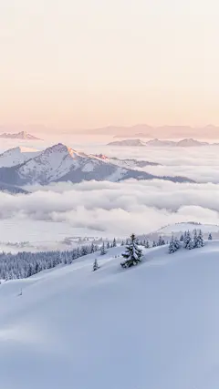 大寒小寒光影感实景雪地背景图片