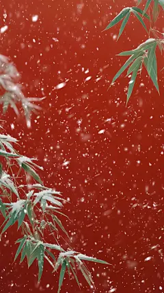 大寒小寒肌理感落雪竹叶背景图片